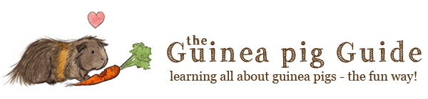 Guinea Pig Care Guide | The Guinea Pig Guide