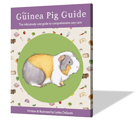 Guinea Pig Feeding Chart