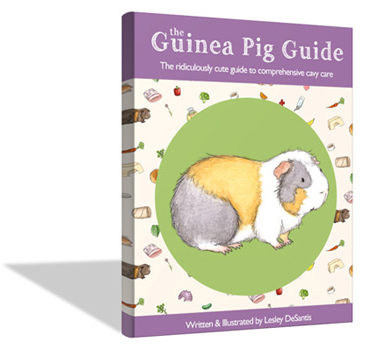 The Guinea Pig Guide downloadable ebook